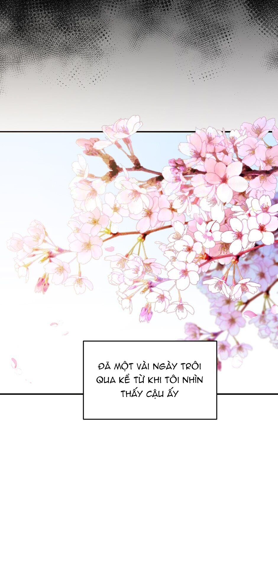 [16+] Killing My Love Chap Chapter 30.2-[16+] Killing My Love - Next Chap 61