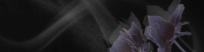 [18+] Đêm Hỗn Loạn Chap Chapter 18.2-[18+] Đêm Hỗn Loạn - Next Chap 37