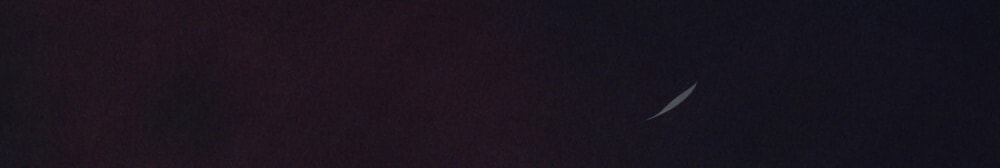 [18+] Đêm Hỗn Loạn Chap Chapter 69-[18+] Đêm Hỗn Loạn - Next Chap 102