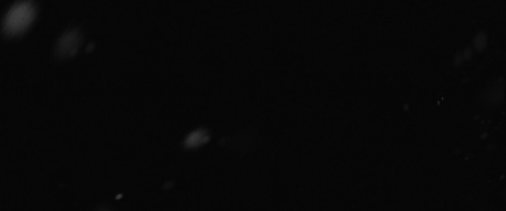 [18+] Đêm Hỗn Loạn Chap Chap 73-[18+] Đêm Hỗn Loạn - Next Chap 106