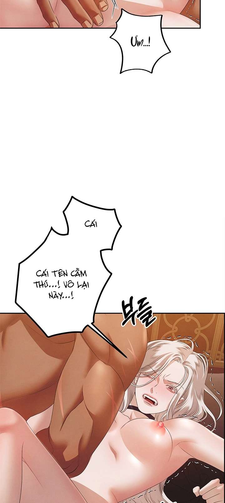 [18+] Hôn Nhân Cưỡng Đoạt Chap Chapter 4.2-[18+] Hôn Nhân Cưỡng Đoạt - Next Chap 11