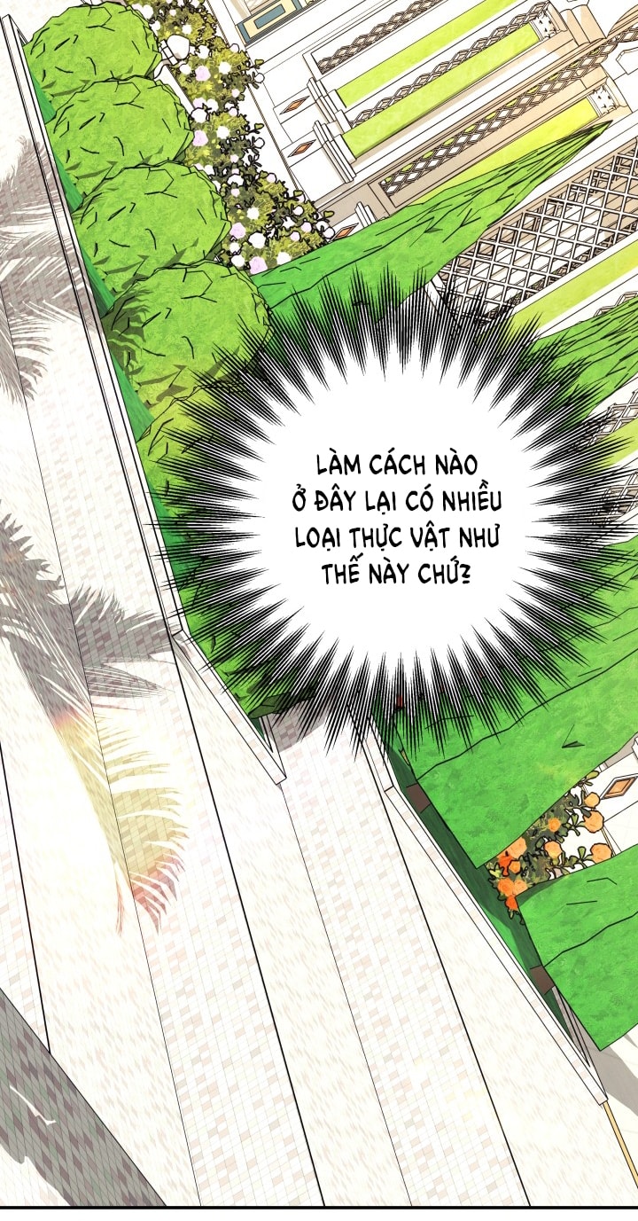 [18+] Hôn Nhân Cưỡng Đoạt Chap Chapter 64-[18+] Hôn Nhân Cưỡng Đoạt - Next Chap 107