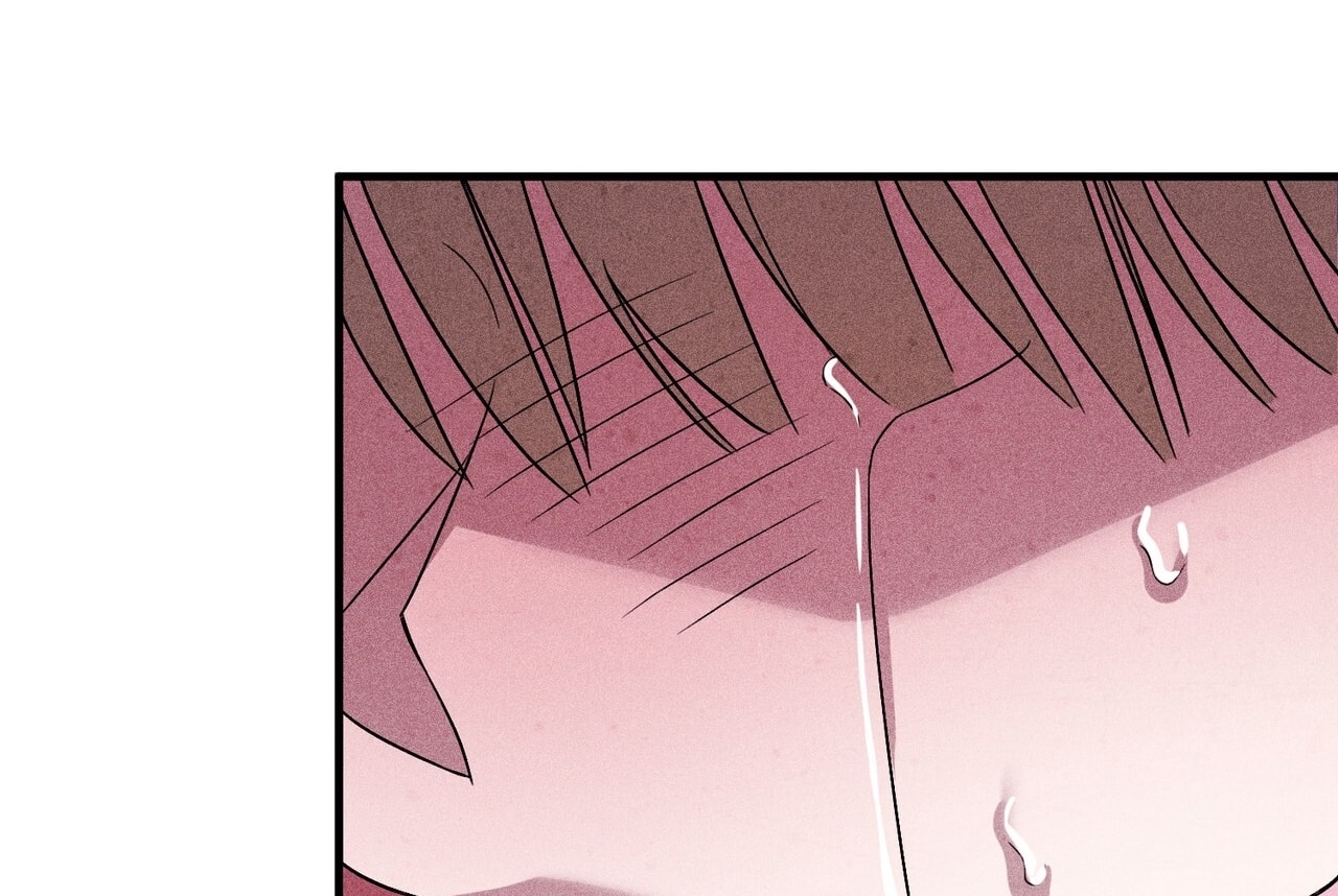 [18+] Quý Phu Nhân Thanh Tao Chap Chapter 8-[18+] Quý Phu Nhân Thanh Tao - Next Chap 9