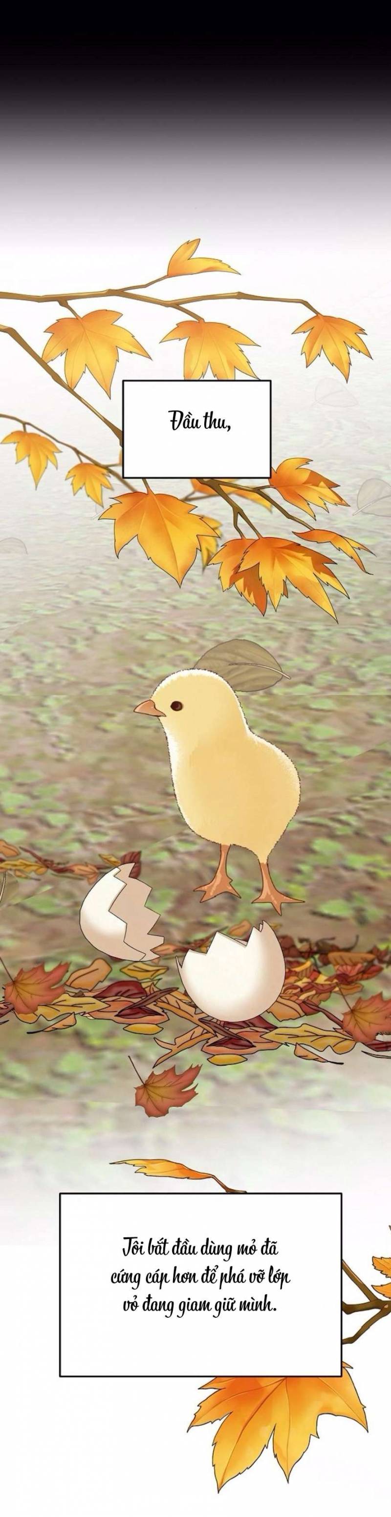 Cẩn Thận Va Phải Tình Yêu Chap Chapter 29-Cẩn Thận Va Phải Tình Yêu - Next Chap 29