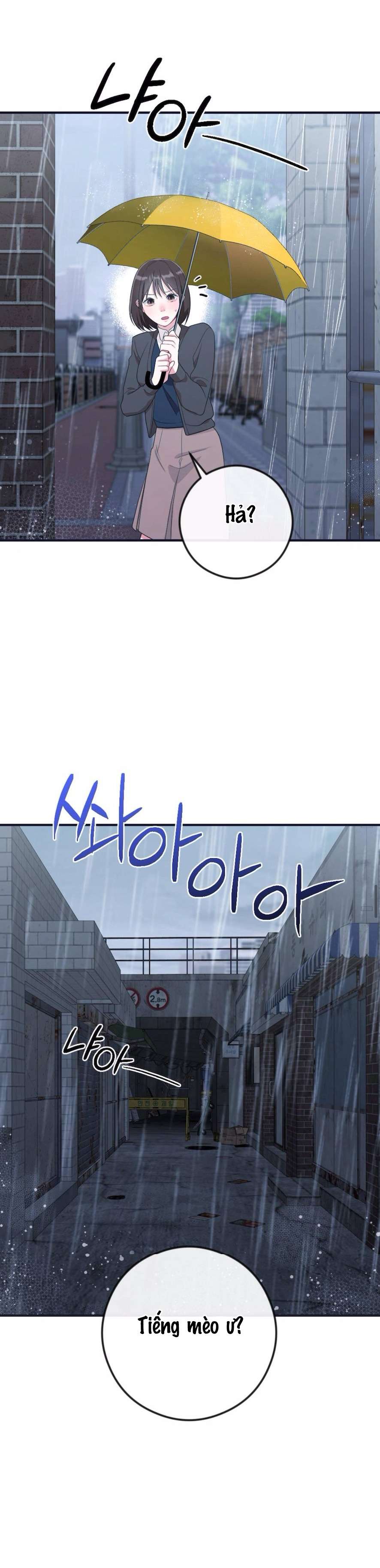 Chiếm Lấy Em Chap Chapter 4-Chiếm Lấy Em - Next Chap 5