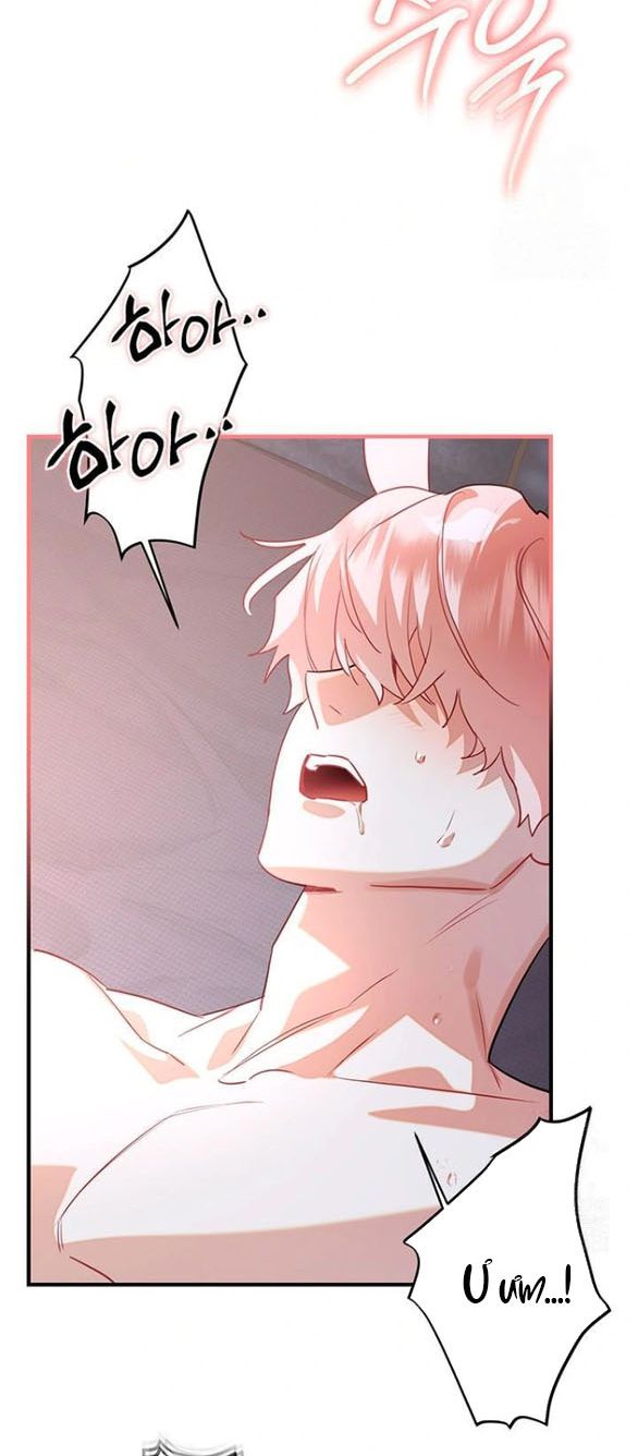 Chồng Thỏ Sao Thỏa Được Ta! Chap Chapter 5-Chồng Thỏ Sao Thỏa Được Ta! - Next Chap 6