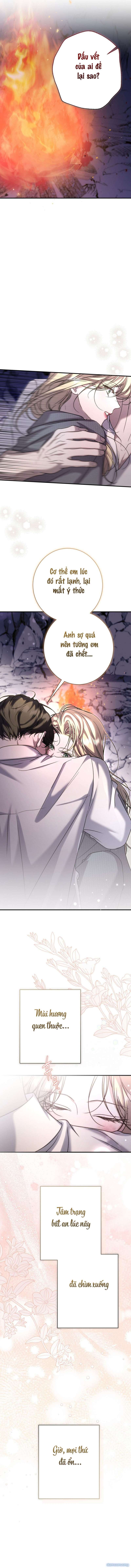 Cô Tiểu Thư Quá Đỗi Tò Mò Chap Chap 14-Cô Tiểu Thư Quá Đỗi Tò Mò - Next Chap 15