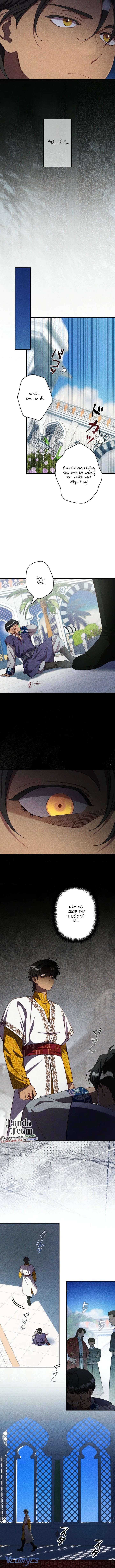 Cuộc Hôn Nhân Thế Thân Của Lily Bush Chap Chap 36-Cuộc Hôn Nhân Thế Thân Của Lily Bush - Next Chap 37