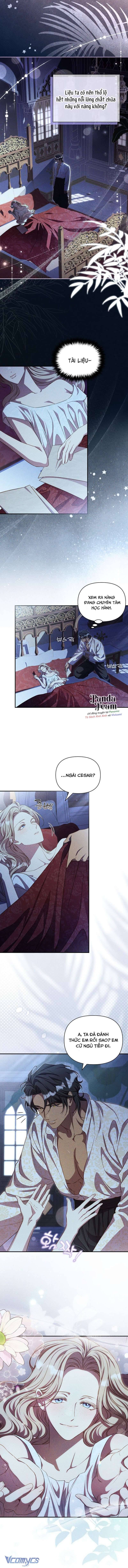 Cuộc Hôn Nhân Thế Thân Của Lily Bush Chap Chap 38-Cuộc Hôn Nhân Thế Thân Của Lily Bush - Next Chap 39