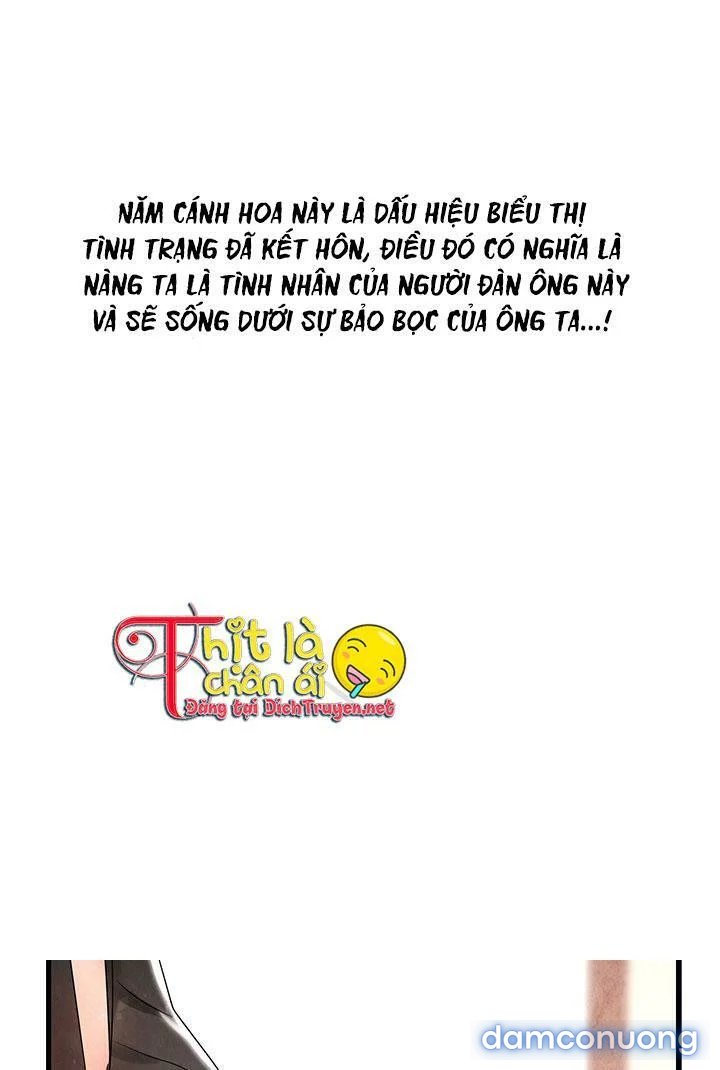 Đêm Thác Loạn (Đêm Dục Vọng) Chap Chapter 9-Đêm Thác Loạn (Đêm Dục Vọng) - Next Chap 10