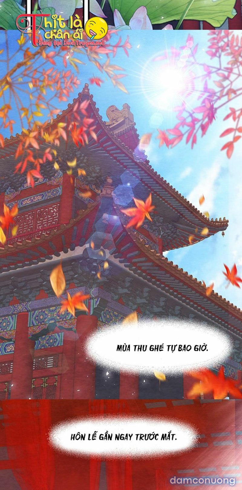 Đêm Thác Loạn (Đêm Dục Vọng) Chap Chapter 23-Đêm Thác Loạn (Đêm Dục Vọng) - Next Chap 24