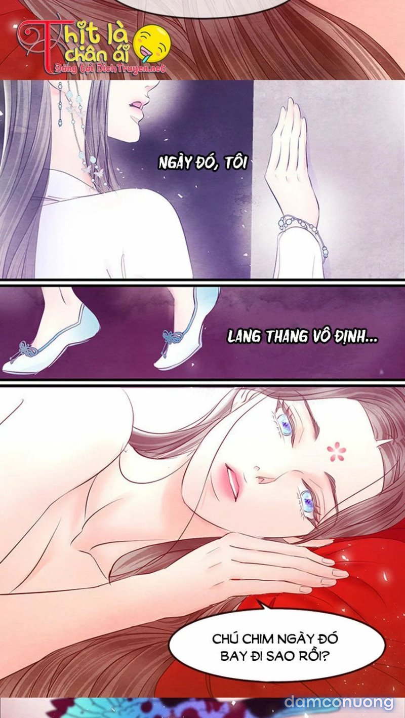 Đêm Thác Loạn (Đêm Dục Vọng) Chap Chapter 24-Đêm Thác Loạn (Đêm Dục Vọng) - Next Chap 25