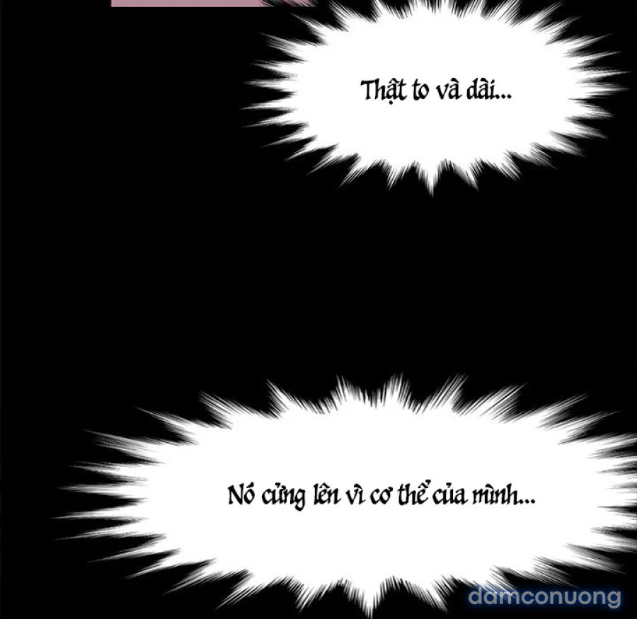 Dịch Vụ Người Mẫu Chap Chapter 3-Dịch Vụ Người Mẫu - Next Chap 4