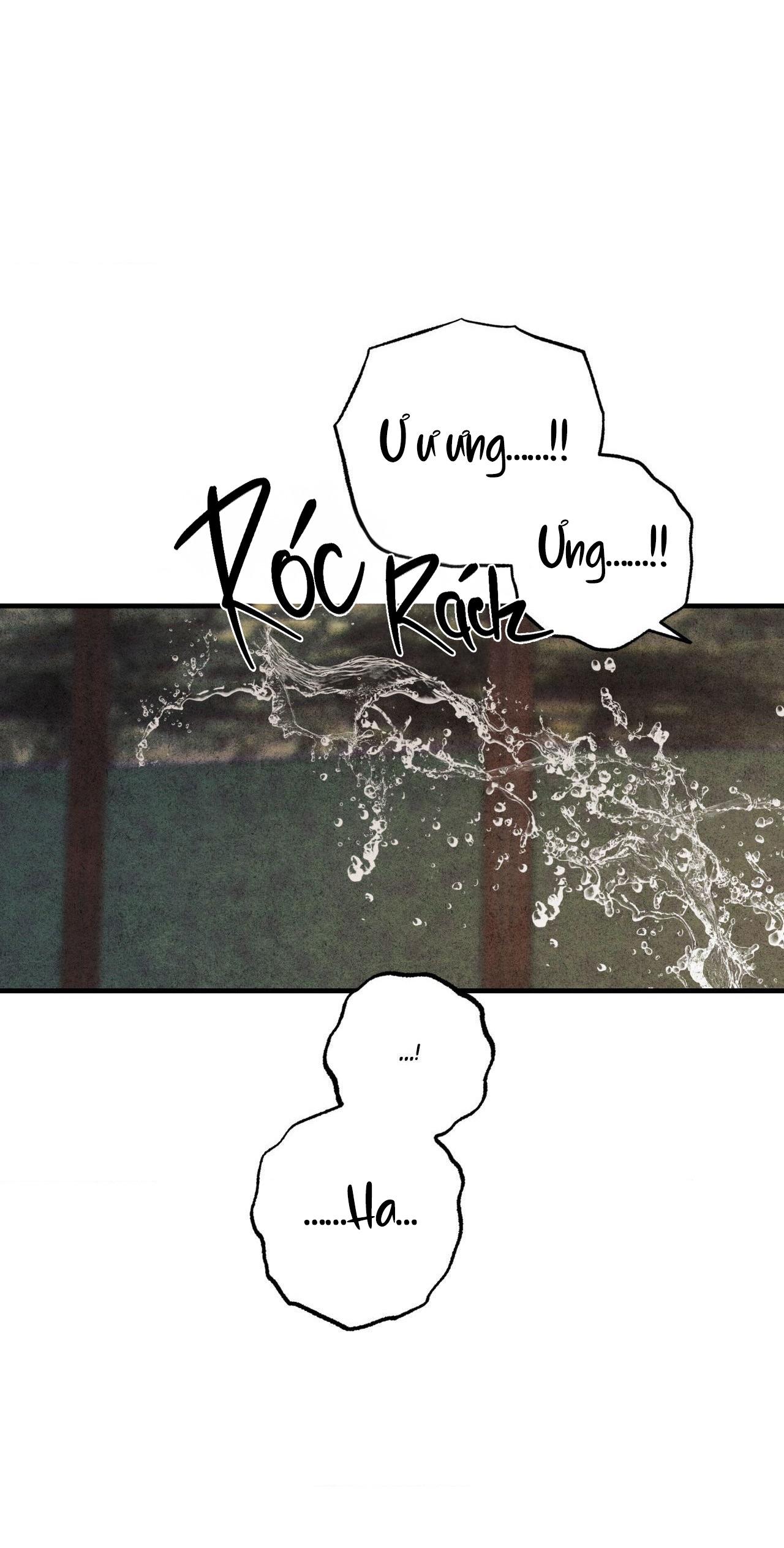 Duyên Phận Chap Chương 30-Duyên Phận - Next Chap 31