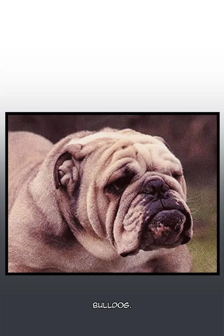 From Weakling to Nemesis Chap Chapter 7-From Weakling to Nemesis - Next Chap 9