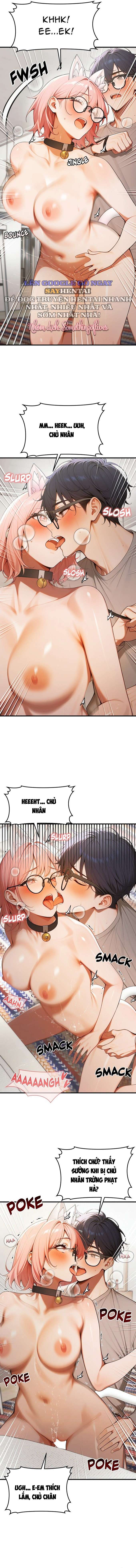 Fuckboy Maji Chap Chap 20-Fuckboy Maji - Next Chap 20