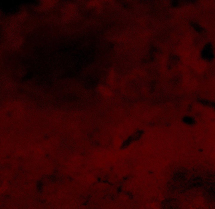 Like No Other Chap Chapter 38-Like No Other - Next Chap 39