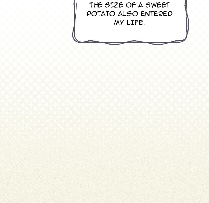 Like No Other Chap Chapter 56-Like No Other - Next Chap 57