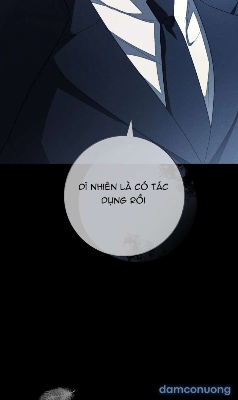 Mộ Thiên Nga Chap Chap 20-Mộ Thiên Nga - Next Chap 21