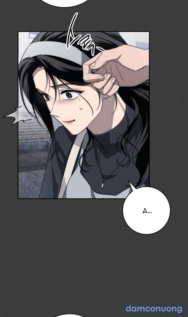 Mộ Thiên Nga Chap Chap 20-Mộ Thiên Nga - Next Chap 21