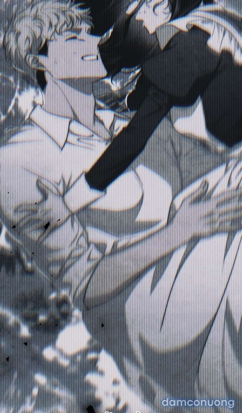 Mộ Thiên Nga Chap Chap 20-Mộ Thiên Nga - Next Chap 21