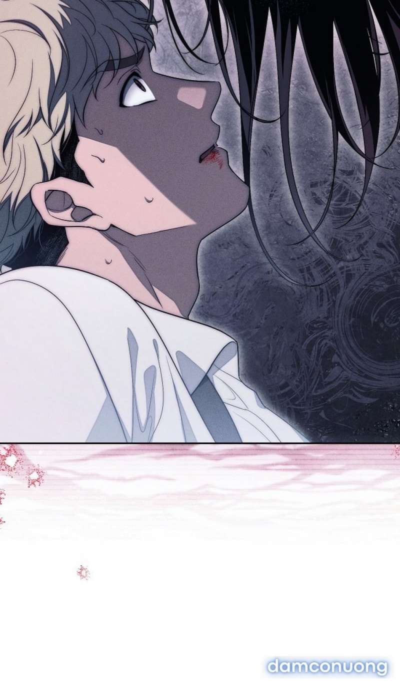 Mộ Thiên Nga Chap Chap 20-Mộ Thiên Nga - Next Chap 21