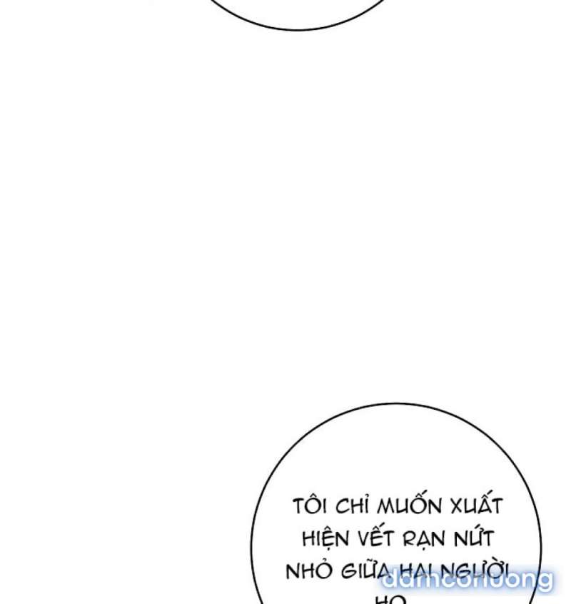 Mộ Thiên Nga Chap Chap 26-Mộ Thiên Nga - Next Chap 27