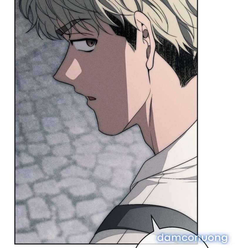 Mộ Thiên Nga Chap Chap 26-Mộ Thiên Nga - Next Chap 27