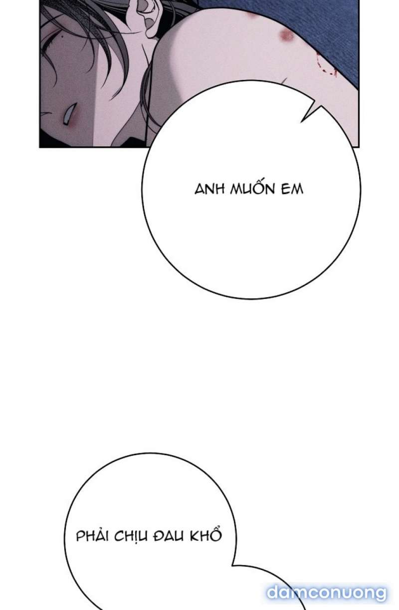 Mộ Thiên Nga Chap Chap 26-Mộ Thiên Nga - Next Chap 27