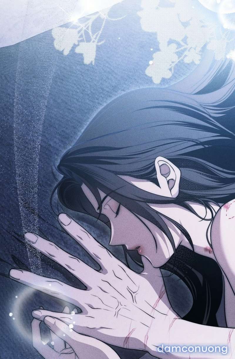 Mộ Thiên Nga Chap Chap 26-Mộ Thiên Nga - Next Chap 27