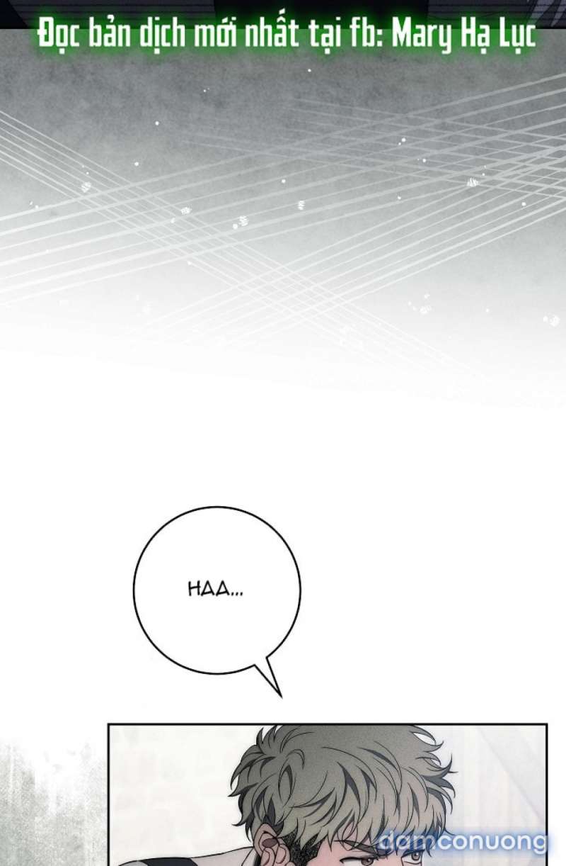 Mộ Thiên Nga Chap Chap 26-Mộ Thiên Nga - Next Chap 27