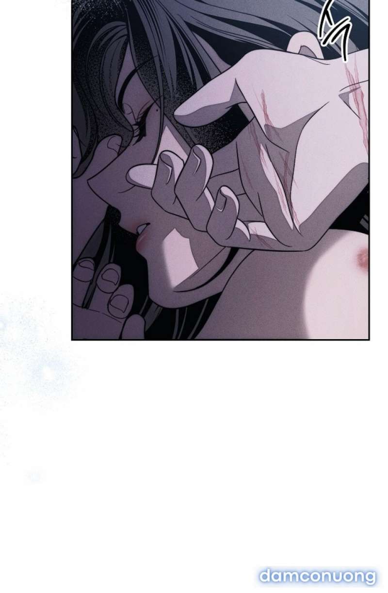 Mộ Thiên Nga Chap Chap 26-Mộ Thiên Nga - Next Chap 27