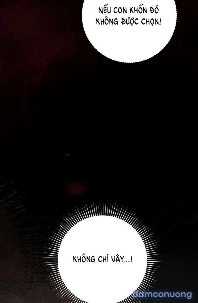 Mộ Thiên Nga Chap Chap 26-Mộ Thiên Nga - Next Chap 27