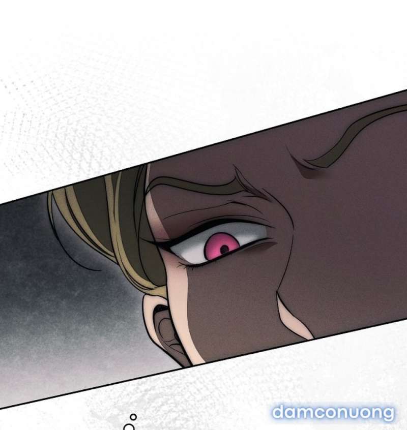 Mộ Thiên Nga Chap Chap 26-Mộ Thiên Nga - Next Chap 27