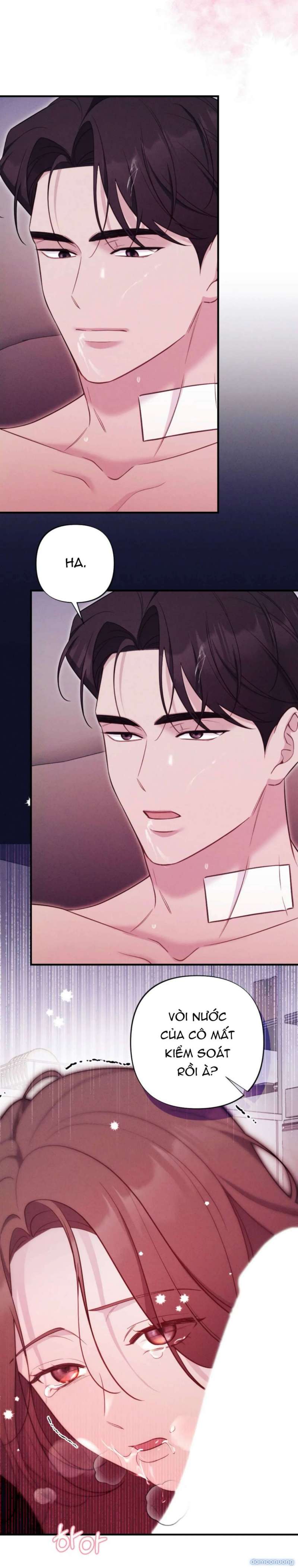 Người Chồng Ăn Bám Chap Chap 14-Người Chồng Ăn Bám - Next Chap 15