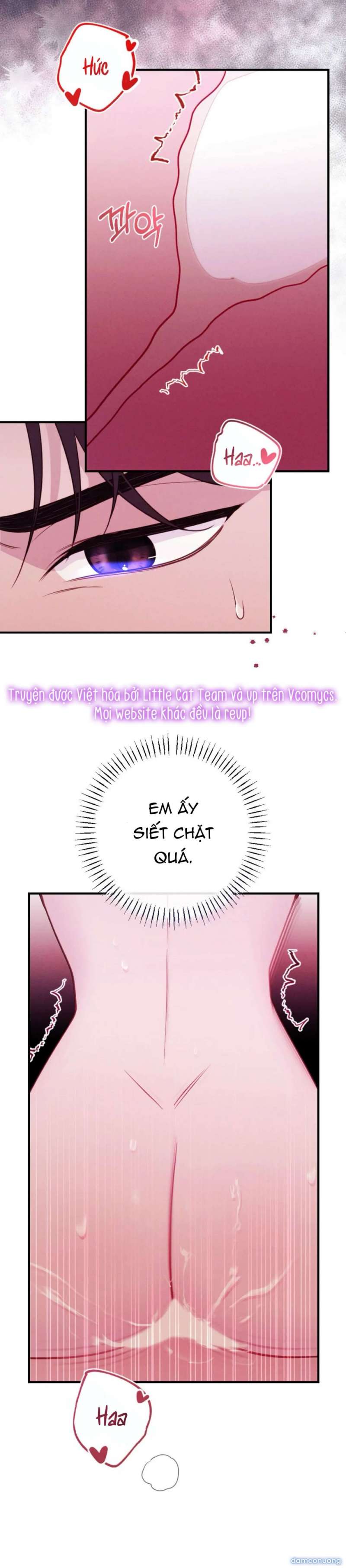 Người Chồng Ăn Bám Chap Chap 14-Người Chồng Ăn Bám - Next Chap 15