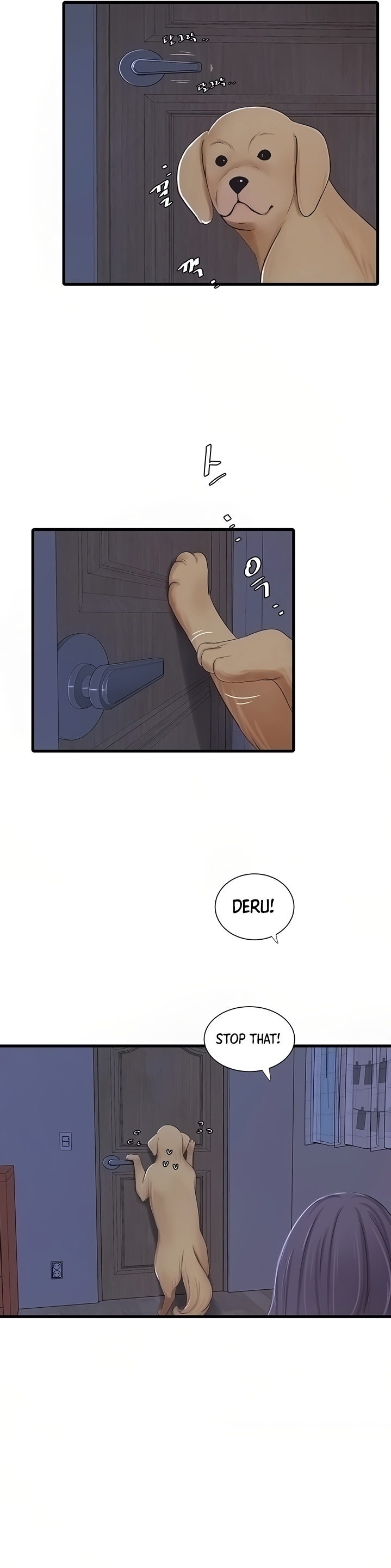 One’s In-Laws Virgins Chap Chapter 62-One’s In-Laws Virgins - Next Chap 63