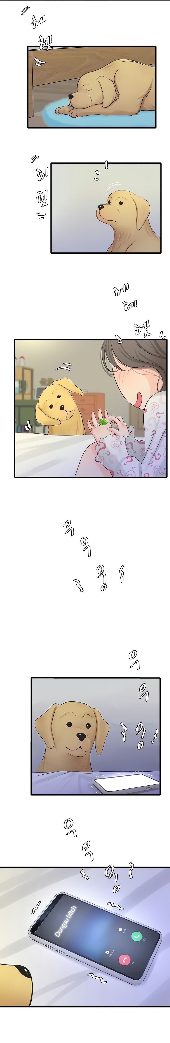 One’s In-Laws Virgins Chap Chapter 74-One’s In-Laws Virgins - Next Chap 75