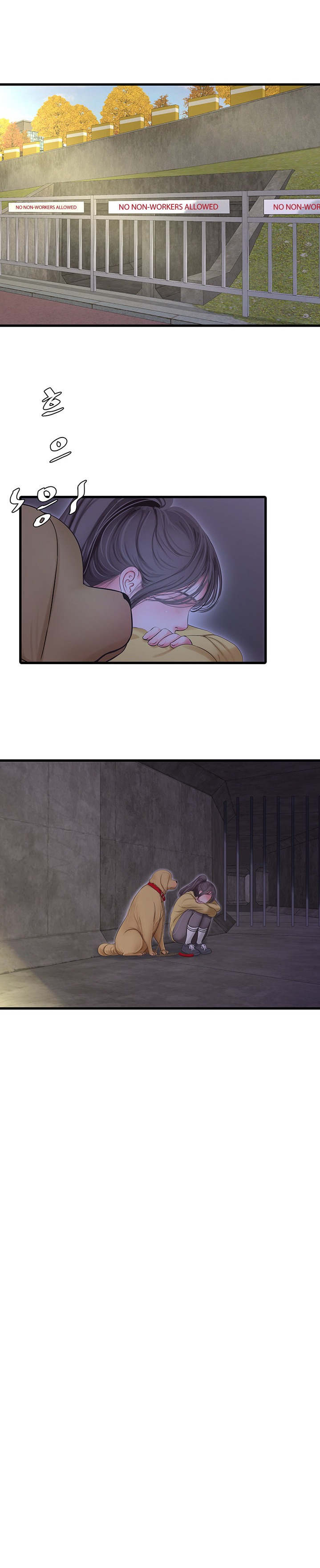 One’s In-Laws Virgins Chap Chapter 107-One’s In-Laws Virgins - Next Chap 108