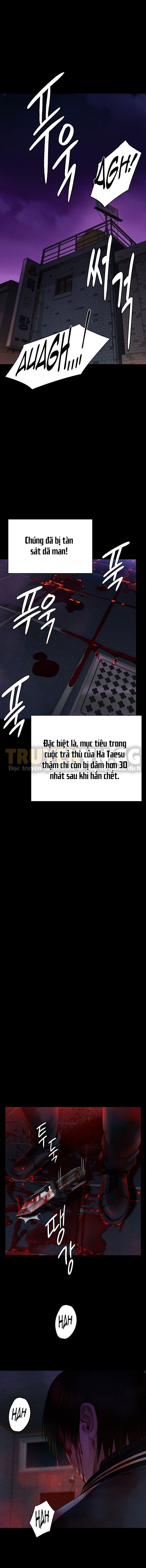 Ong Chúa Chap Chapter 261-Ong Chúa - Next Chap 262