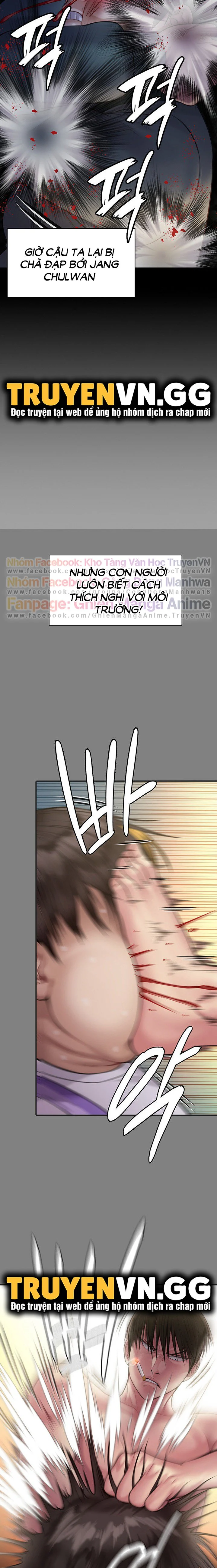 Queen Bee – Ong Chúa Chap Chapter 226-Queen Bee – Ong Chúa - Next Chap 227