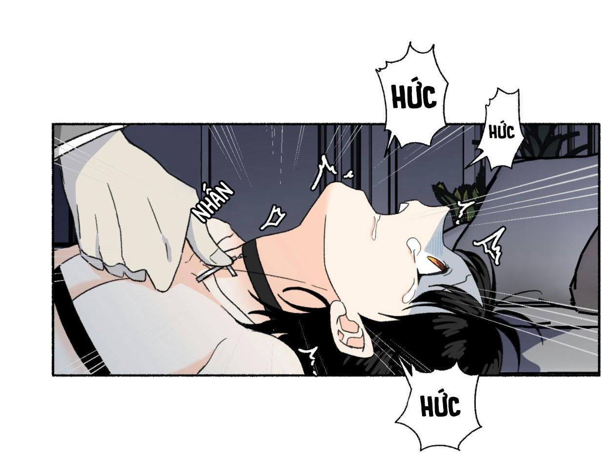 Ruru Tinh Quái Chap Chapter 17-Ruru Tinh Quái - Next Chap 18