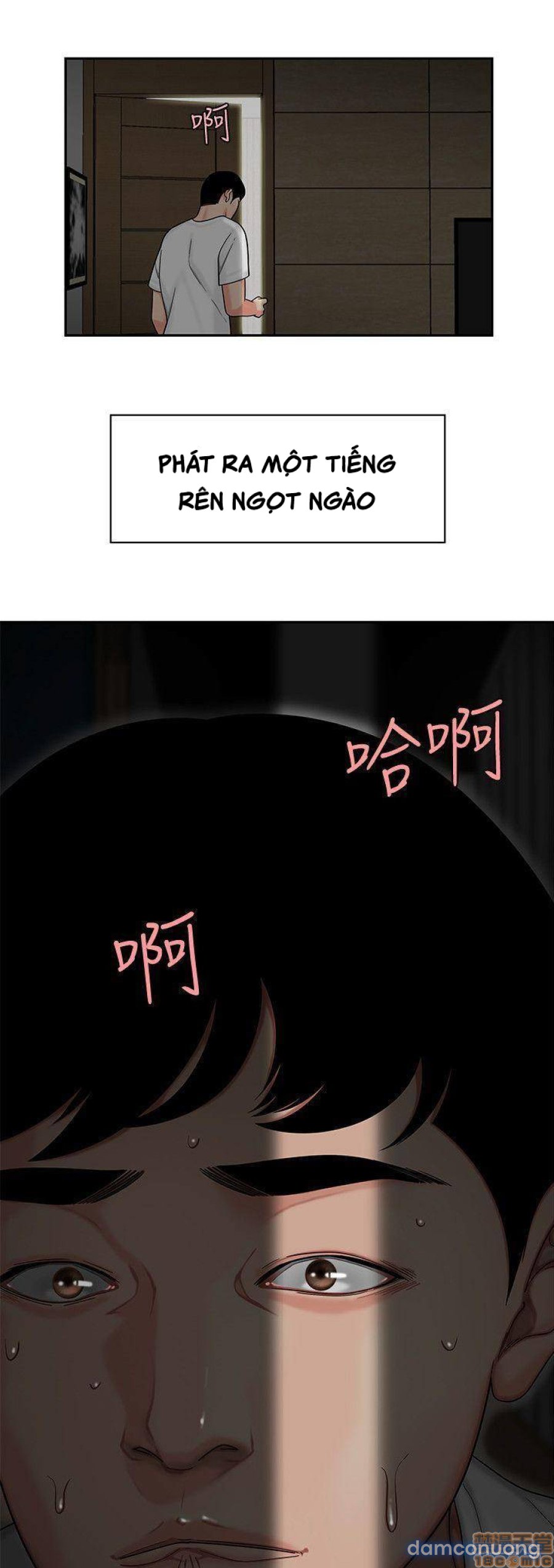 Shipper May Mắn Chap Chapter 1-Shipper May Mắn - Next Chap 2