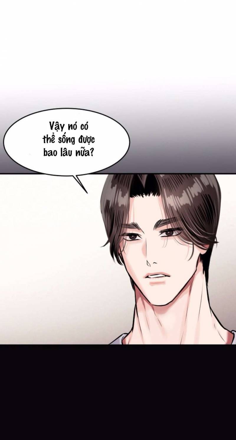 Sở Thích Bị Cai Trị Chap Chapter 18-Sở Thích Bị Cai Trị - Next Chap 19
