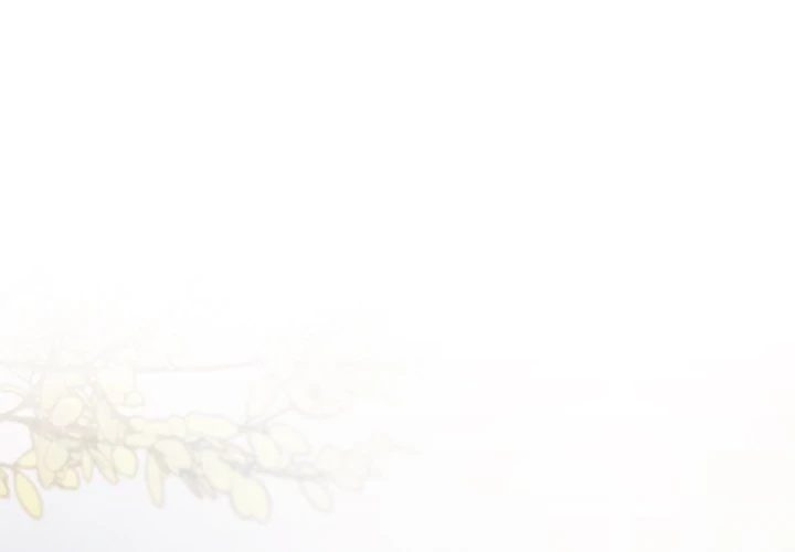 Stop Smoking Chap Chapter 22-Stop Smoking - Next Chap 23