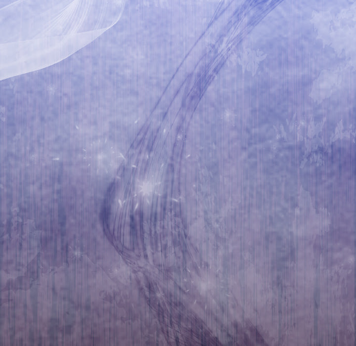 Take a Photo of Me Chap Chapter 13-Take a Photo of Me - Next Chap 14