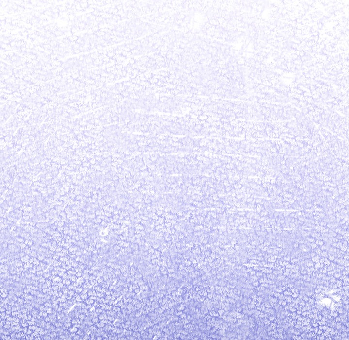 Take a Photo of Me Chap Chapter 14-Take a Photo of Me - Next Chap 15