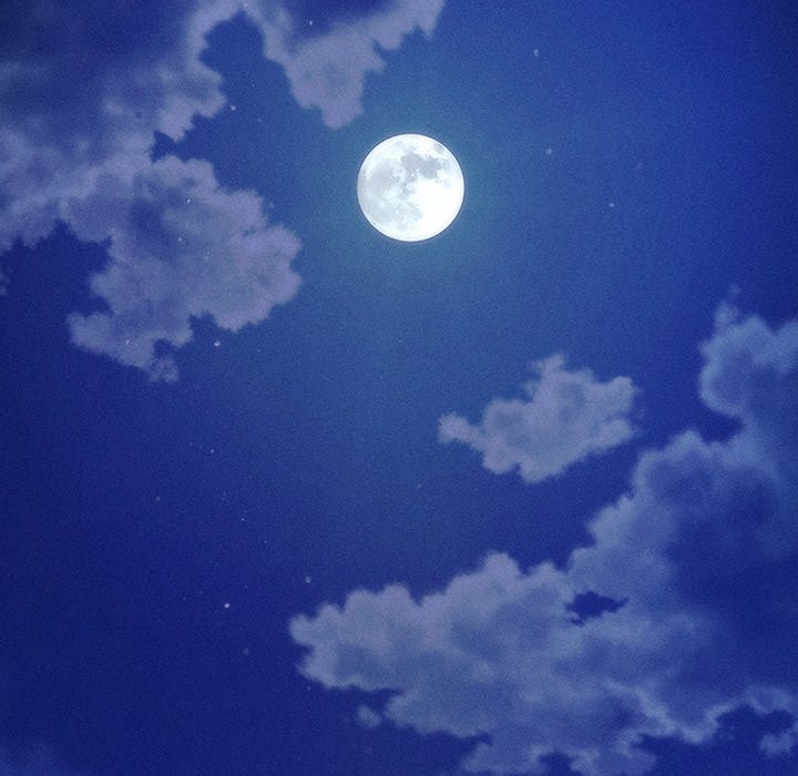 The Chairman’s Secret Son Chap Chapter 10-The Chairman’s Secret Son - Next Chap 11