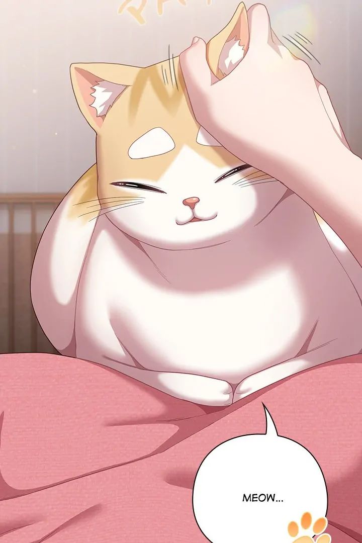 The General Is Here! Chap Chapter 29-The General Is Here! - Next Chap 30