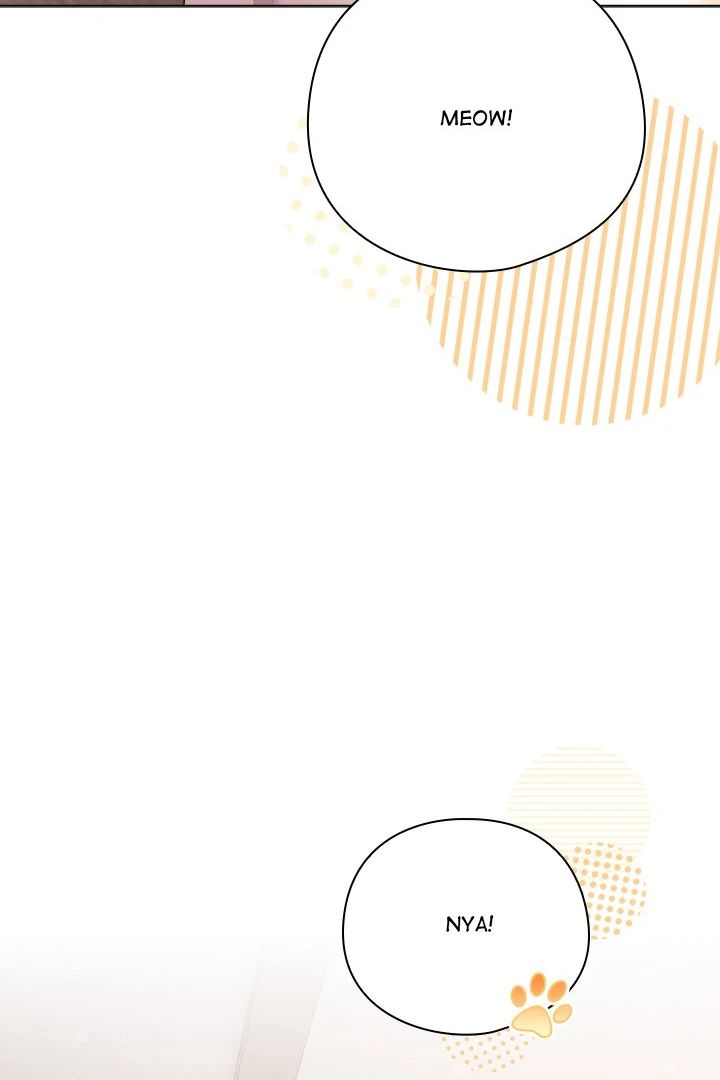 The General Is Here! Chap Chapter 29-The General Is Here! - Next Chap 30